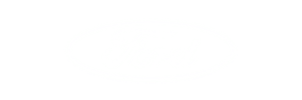 Ford logo for body shop in houston