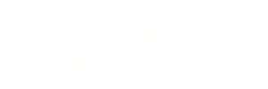 Hyundai Certified Collision Repair Center White Logo